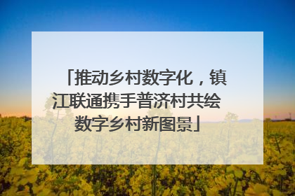 推动乡村数字化，镇江联通携手普济村共绘数字乡村新图景