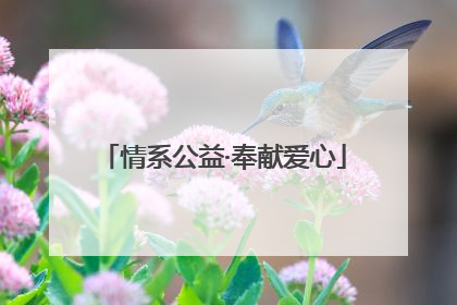 情系公益·奉献爱心