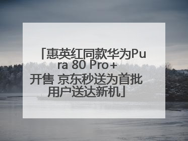 惠英红同款华为Pura 80 Pro+开售 京东秒送为首批用户送达新机
