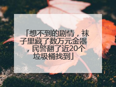 想不到的剧情，袜子里藏了数万元金器，民警翻了近20个垃圾桶找到