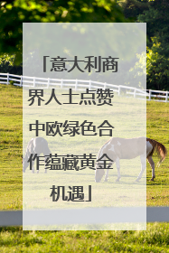 意大利商界人士点赞中欧绿色合作蕴藏黄金机遇