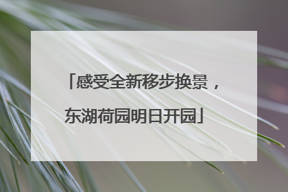 感受全新移步换景，东湖荷园明日开园