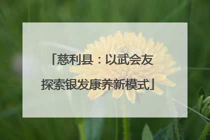慈利县：以武会友 探索银发康养新模式