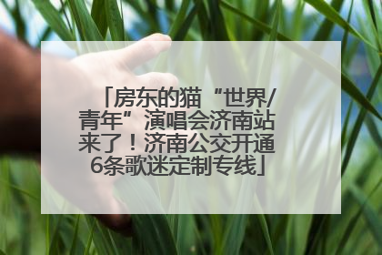 房东的猫“世界/青年”演唱会济南站来了！济南公交开通6条歌迷定制专线