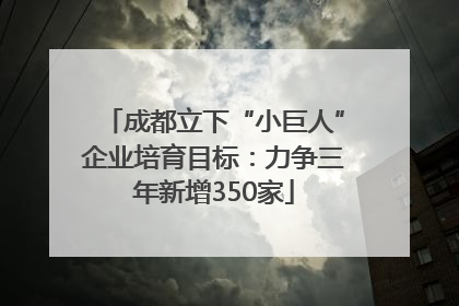 成都立下“小巨人”企业培育目标：力争三年新增350家