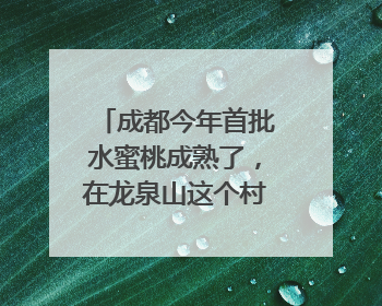 成都今年首批水蜜桃成熟了，在龙泉山这个村尝鲜“第一口”｜寻找和美乡村推荐官