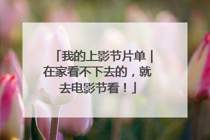 我的上影节片单｜在家看不下去的，就去电影节看！