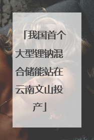 我国首个大型锂钠混合储能站在云南文山投产
