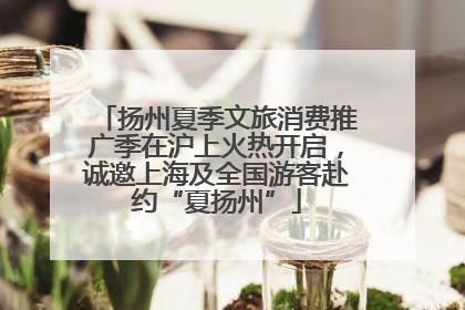 扬州夏季文旅消费推广季在沪上火热开启，诚邀上海及全国游客赴约“夏扬州”