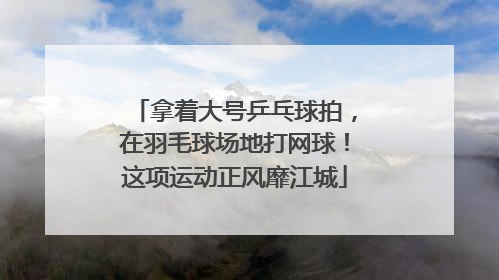 拿着大号乒乓球拍，在羽毛球场地打网球！这项运动正风靡江城