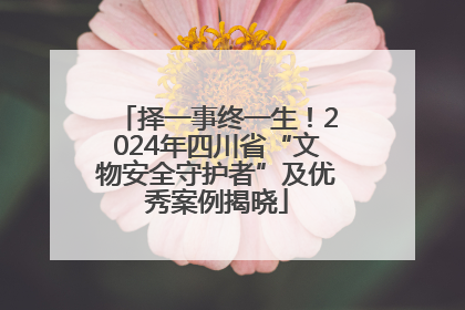 择一事终一生！2024年四川省“文物安全守护者”及优秀案例揭晓