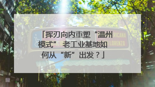 挥刃向内重塑“温州模式” 老工业基地如何从“新”出发？