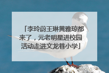 李玲蔚王琳黄雅琼都来了，元老明星进校园活动走进文龙巷小学