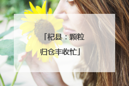 杞县：颗粒归仓丰收忙