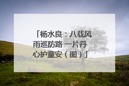 杨水良：八载风雨巡防路 一片丹心护童安（图）