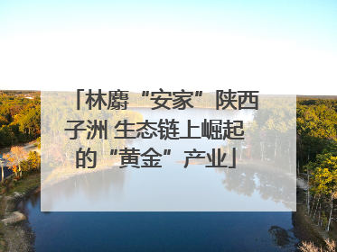 林麝“安家”陕西子洲 生态链上崛起的“黄金”产业