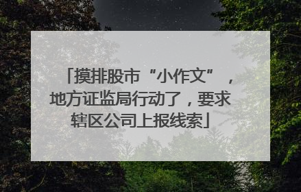 摸排股市“小作文”，地方证监局行动了，要求辖区公司上报线索