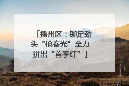 播州区：铆足劲头“抢春光”全力拼出“首季红”