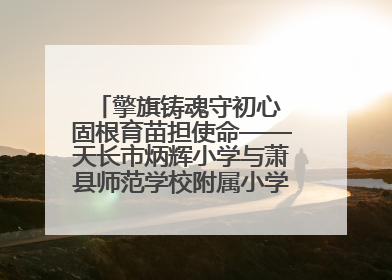 擎旗铸魂守初心 固根育苗担使命——天长市炳辉小学与萧县师范学校附属小学结对共建活动纪实