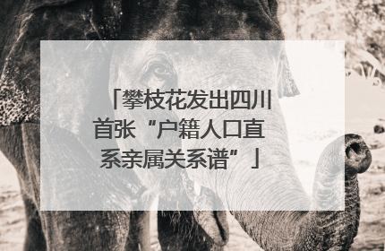 攀枝花发出四川首张“户籍人口直系亲属关系谱”