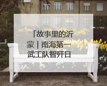 故事里的沂蒙｜南海第一武工队智歼日伪军（上）