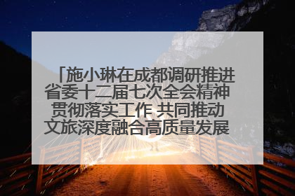 施小琳在成都调研推进省委十二届七次全会精神贯彻落实工作 共同推动文旅深度融合高质量发展 加快打造支柱产业民生产业幸福产业