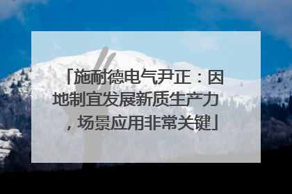 施耐德电气尹正：因地制宜发展新质生产力，场景应用非常关键