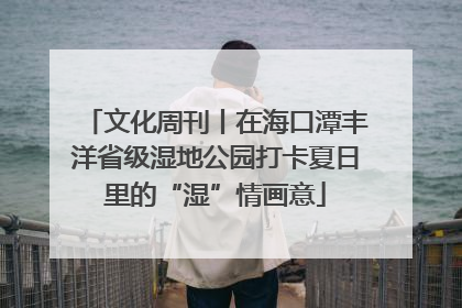 文化周刊丨在海口潭丰洋省级湿地公园打卡夏日里的“湿”情画意