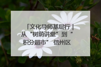 文化导师基层行｜从“树荫讲堂”到“积分超市” 信州区基层治理有实招