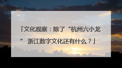 文化观察：除了“杭州六小龙” 浙江数字文化还有什么？