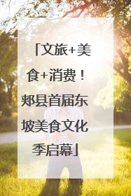 文旅+美食+消费！郏县首届东坡美食文化季启幕