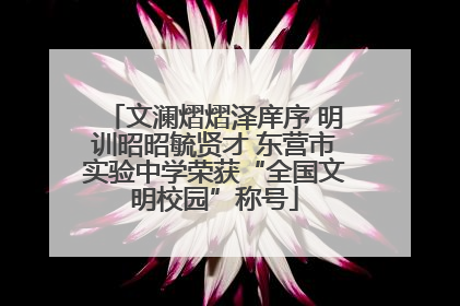 文澜熠熠泽庠序 明训昭昭毓贤才 东营市实验中学荣获“全国文明校园”称号
