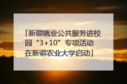 新疆就业公共服务进校园“3+10”专项活动在新疆农业大学启动