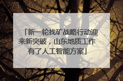 新一轮找矿战略行动迎来新突破，山东地质工作有了人工智能方案