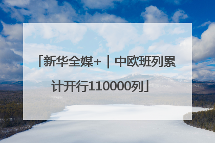 新华全媒+｜中欧班列累计开行110000列