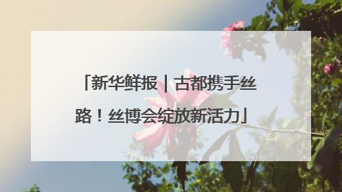 新华鲜报｜古都携手丝路！丝博会绽放新活力