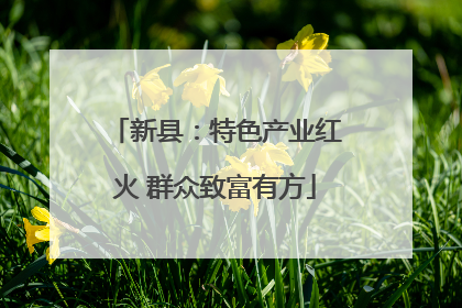 新县：特色产业红火 群众致富有方