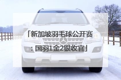 新加坡羽毛球公开赛：国羽1金2银收官