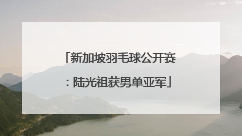 新加坡羽毛球公开赛：陆光祖获男单亚军