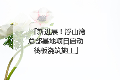 新进展！浮山湾总部基地项目启动筏板浇筑施工