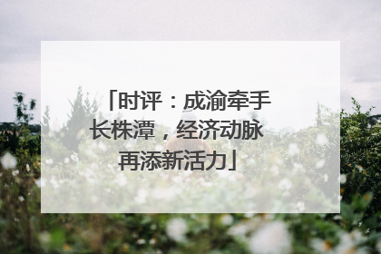 时评：成渝牵手长株潭，经济动脉再添新活力