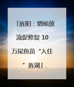 旌阳：增殖放流促修复 10万尾鱼苗“入住”旌湖