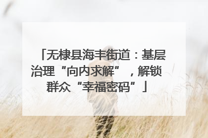 无棣县海丰街道：基层治理“向内求解”，解锁群众“幸福密码”