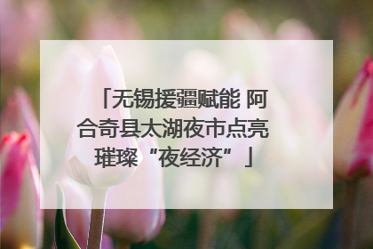 无锡援疆赋能 阿合奇县太湖夜市点亮璀璨“夜经济”