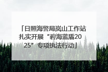 日照海警局岚山工作站扎实开展“碧海蓝盾2025”专项执法行动