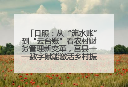 日照：从“流水账”到“云台账”看农村财务管理新变革，莒县——数字赋能激活乡村振兴“一池春水”