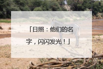 日照：他们的名字，闪闪发光！