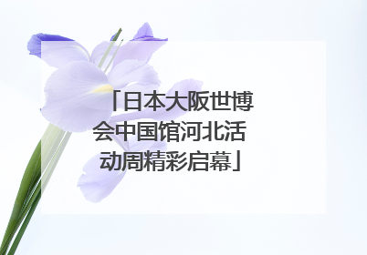 日本大阪世博会中国馆河北活动周精彩启幕