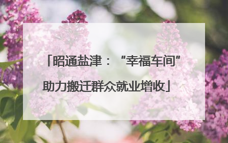 昭通盐津：“幸福车间”助力搬迁群众就业增收