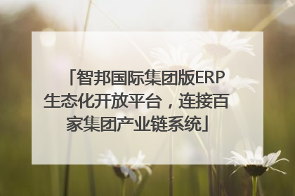 智邦国际集团版ERP生态化开放平台，连接百家集团产业链系统